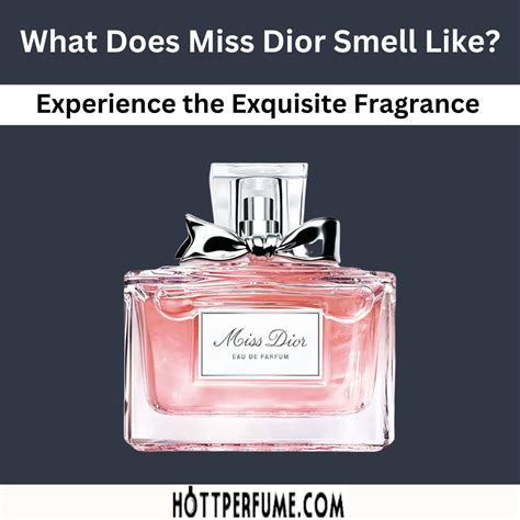 miss dior myer fruity|what does Miss Dior perfume smell like.